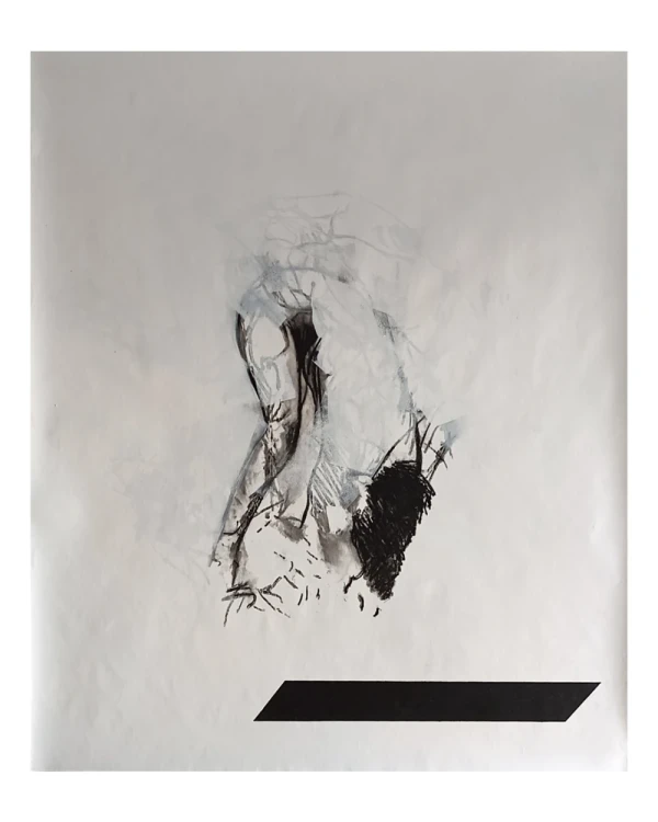 Original Lucila Sampayo