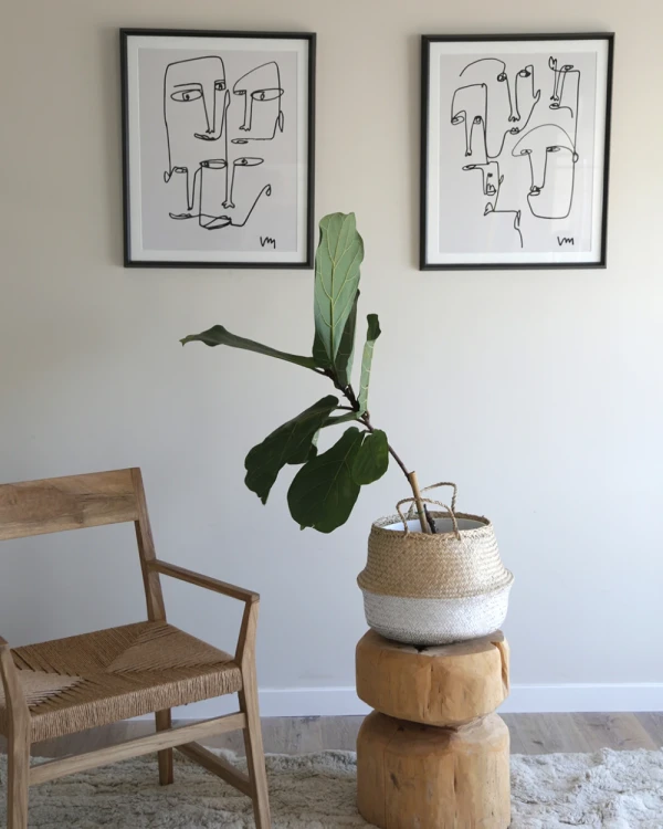 Caras Blanco y Negro