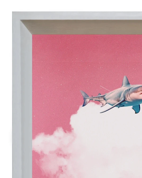 Tiburon - Triangulito blanco