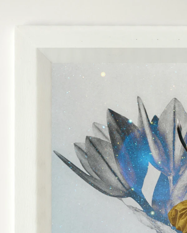 San Magnifica y las palomas - Triangulito blanco