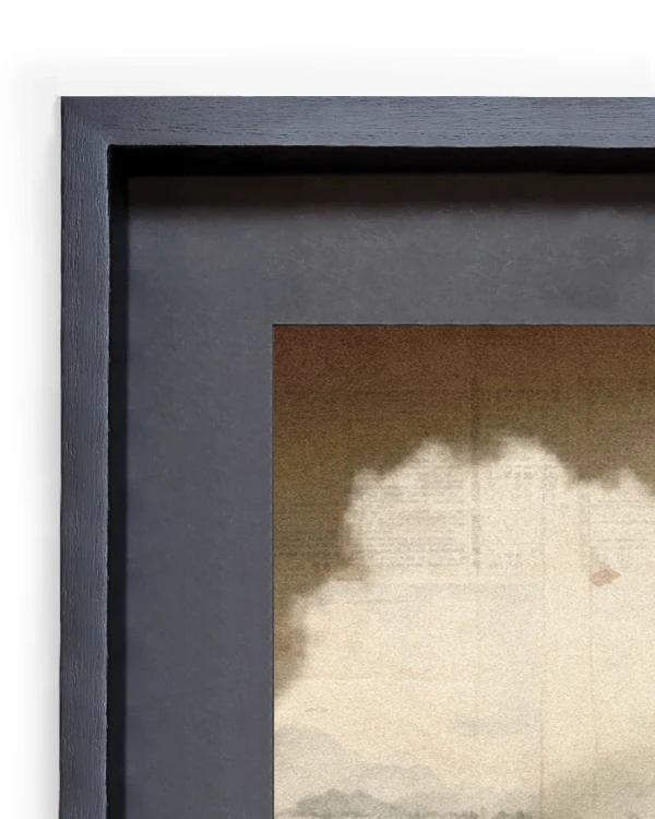 Octopus - Marco tipo box negro mas passepartout negro