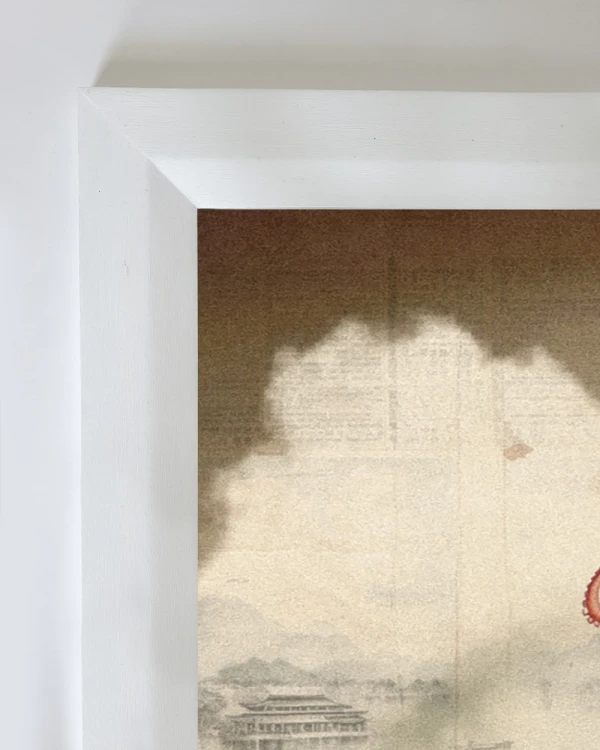 Octopus - Marco en chanfle de 6 cm blanco liso