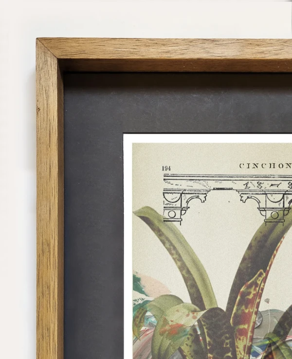 Cabrera 807 - Marco tipo box petiribi mas passepartout