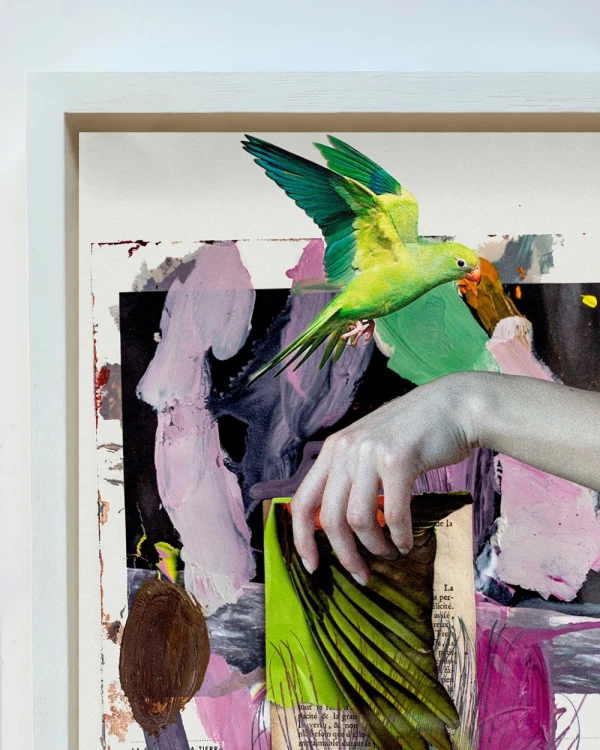 Escala - Marco tipo box blanco