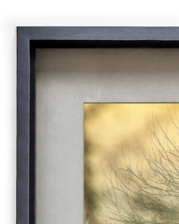 Santa Catalina II - 40 x 60 / Marco tipo box negro mas passepartout gris