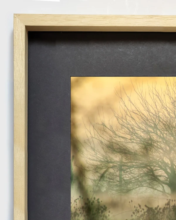 Santa Catalina II - 70 x 100 / Marco tipo box madera mas passepartout negro