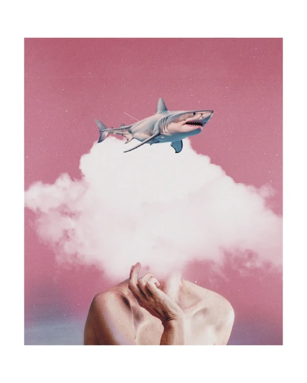 Tiburon - Triangulito blanco