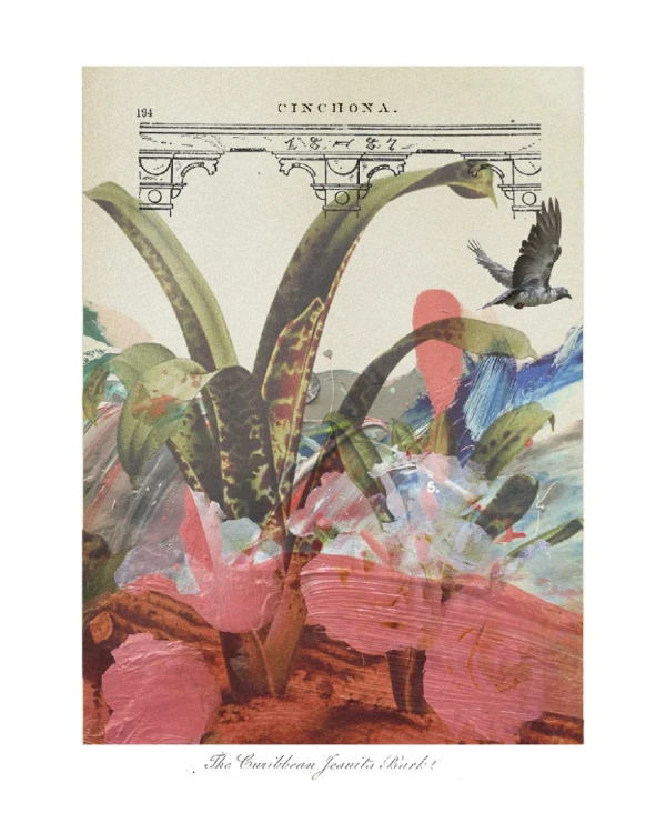 Cabrera 807 - Marco tipo box petiribi mas passepartout