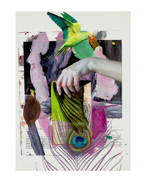 Escala - Marco tipo box gris mas passepartout