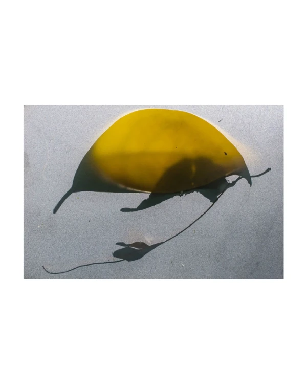 Santa Catalina - Marco tipo box gris con passepartout gris / 40 x 60