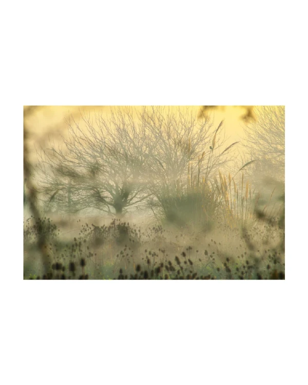 Santa Catalina II - 70 x 100 / Marco tipo box madera mas passepartout negro