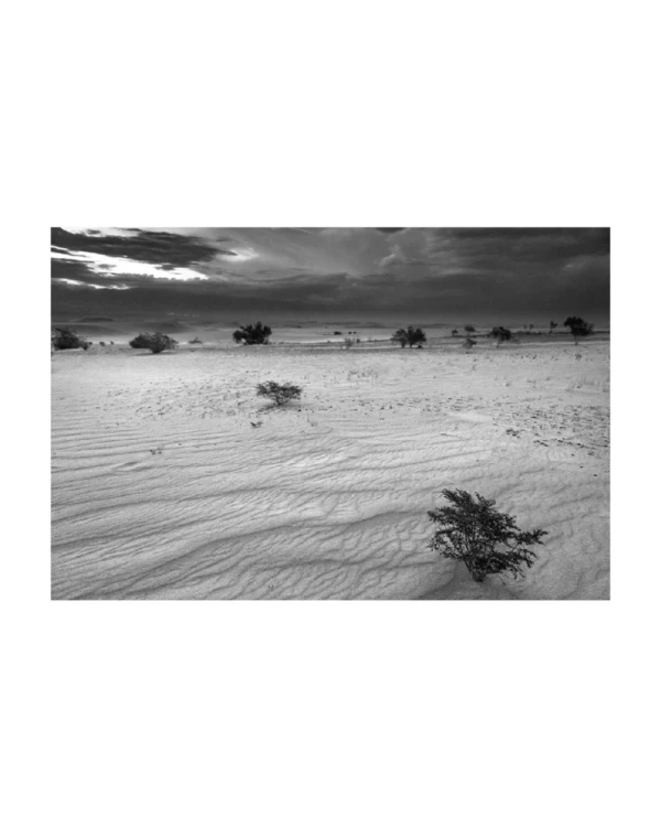 Medanitos - Marco en L blanco con passepartout blanco / 70 x 50