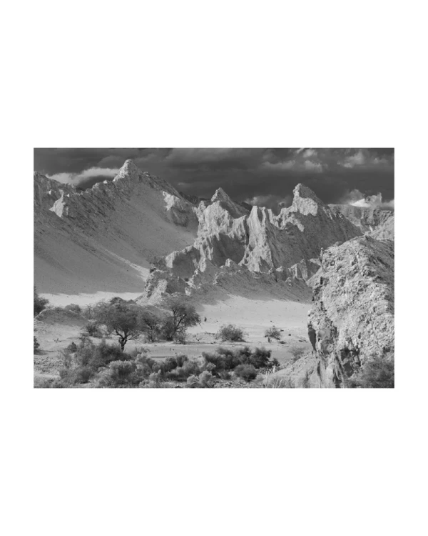 Loro Huasi - 70 x 50 / Marco en L blanco con passepartout blanco