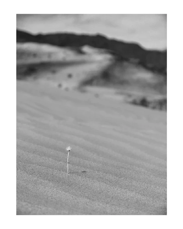 Abaucan - Marco en L blanco mas passepartout blanco / 70 x 50