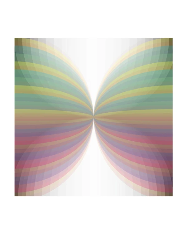 Metamorfosis - Marco tipo box invertida blanca