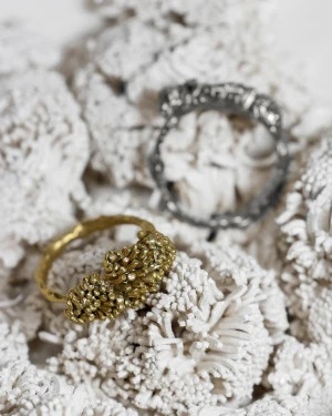 Anillo Brote - Oro / 2.06