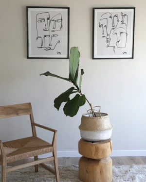 Caras Blanco y Negro