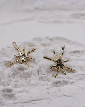 Aros Flor de los vientos - Oro