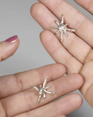 Aros Flor de los vientos - Plata