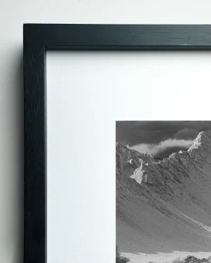 Loro Huasi - 70 x 50 / Marco tipo box negro con passepartout blanco