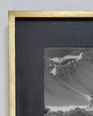 Loro Huasi - 70 x 50 / Marco en L dorado con passepartout negro