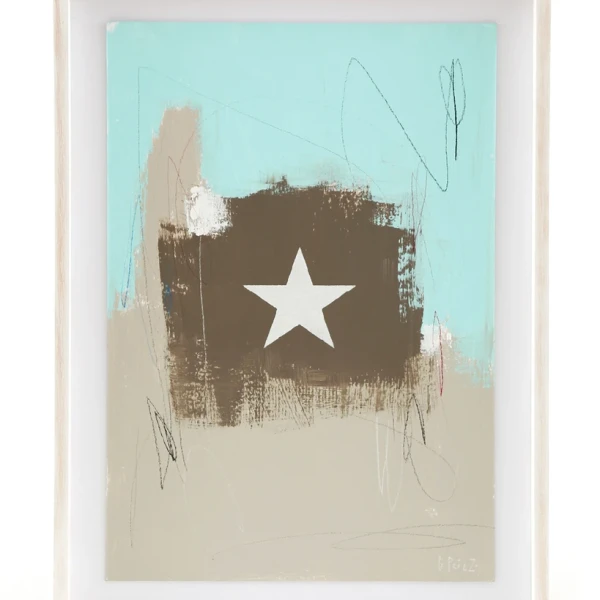 Estrella Blanca - Blanco - Espacial mini tiza patinada