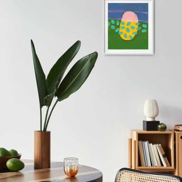 Original Sole Rolleri 10 - Marco box marupa natural mas paspartu ocre