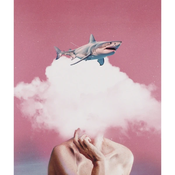 Tiburon - Triangulito blanco