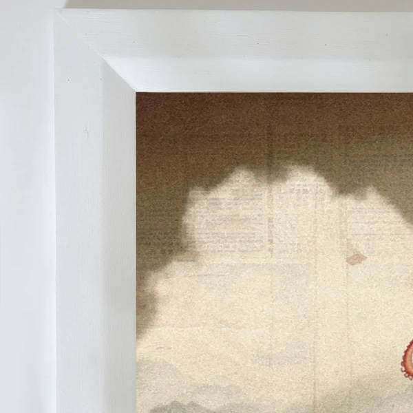 Octopus - Marco en chanfle de 6 cm blanco liso