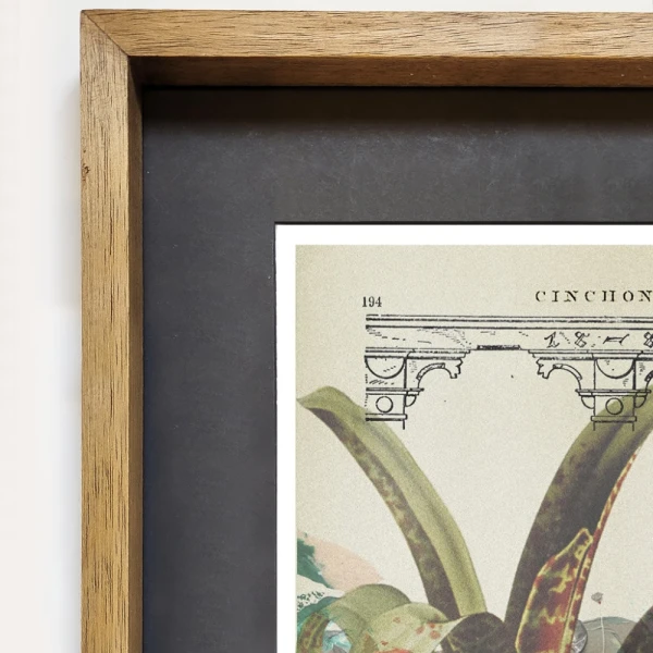 Cabrera 807 - Marco tipo box petiribi mas passepartout