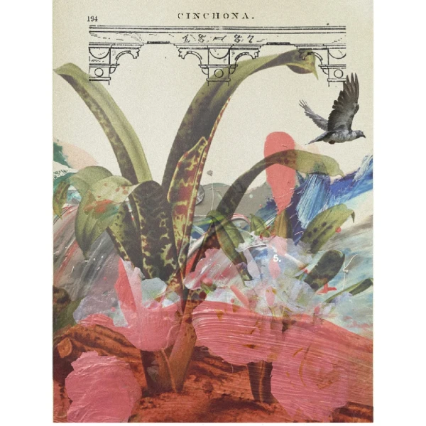 Cabrera 807 - Marco chanfle de 3 cm madera mas passepartout piedra