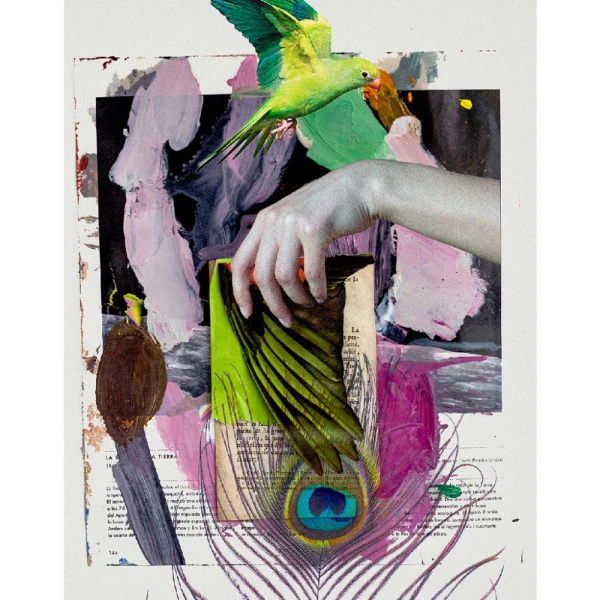 Escala - Marco tipo box gris mas passepartout