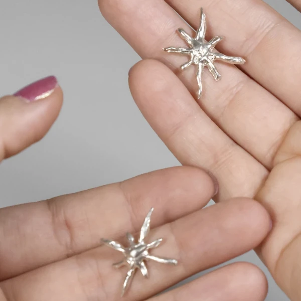 Aros Flor de los vientos - Plata