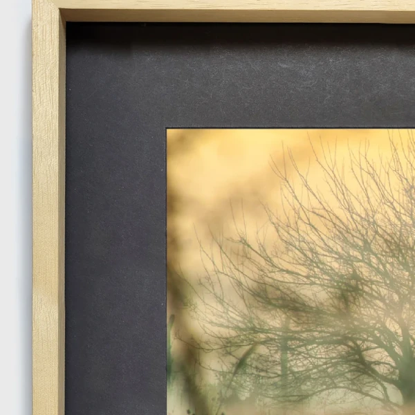 Santa Catalina II - 70 x 100 / Marco tipo box madera mas passepartout negro