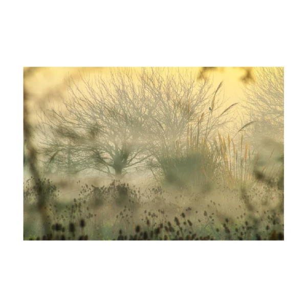 Santa Catalina II - 95 x 115 / Marco tipo box negro mas passepartout gris