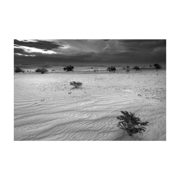 Medanitos - Marco en L blanco con passepartout blanco / 70 x 50