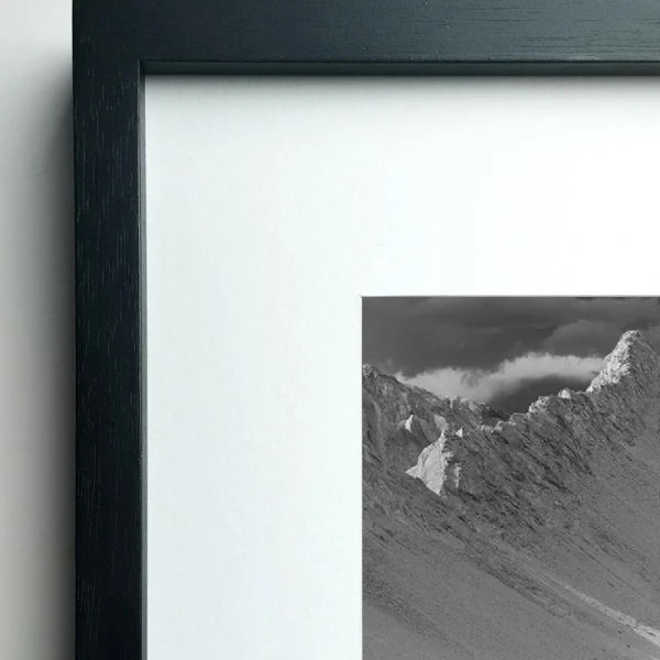 Loro Huasi - 70 x 50 / Marco tipo box negro con passepartout blanco