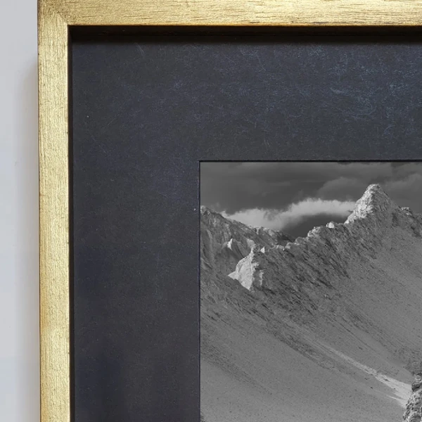 Loro Huasi - 70 x 50 / Marco en L dorado con passepartout negro