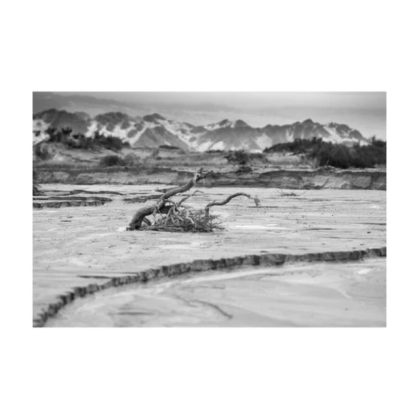 Antinaco - Marco en L blanco con passepartout blanco / 70 x 50