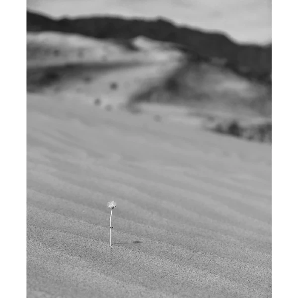 Abaucan - Marco en L blanco mas passepartout blanco / 70 x 50