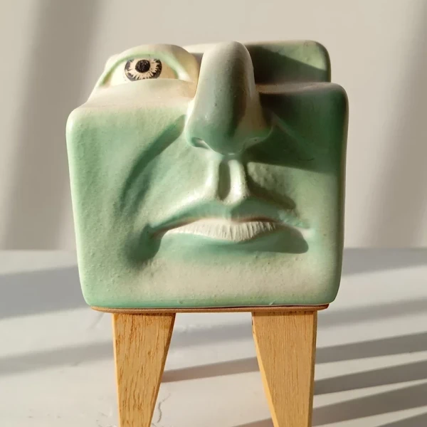 Cara aqua