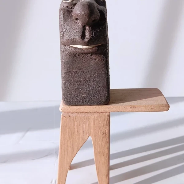 Cara tierra