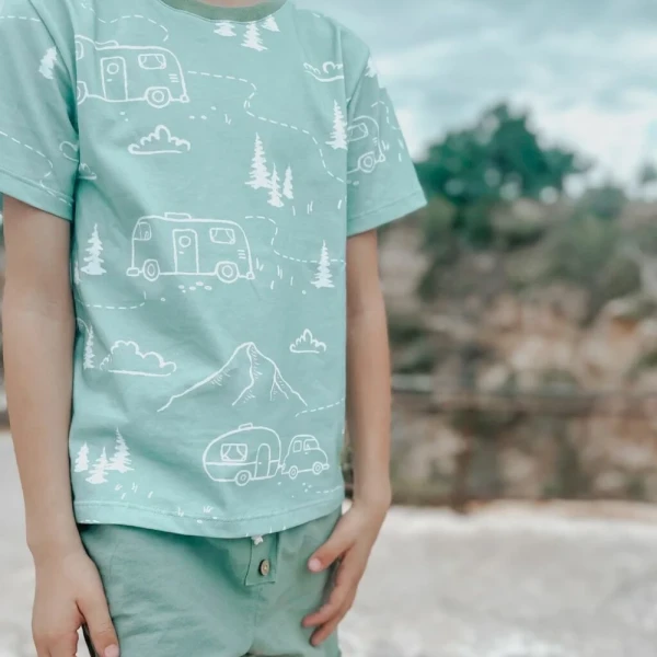 REMERA VAN