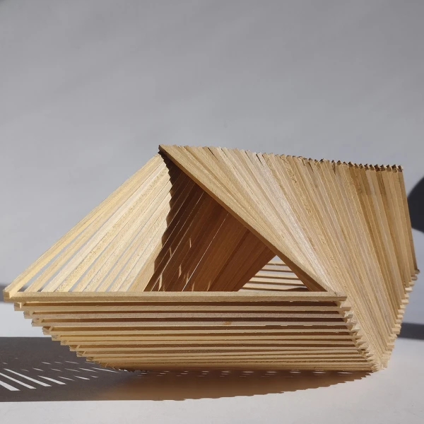 Triada N° 1