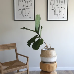 Caras Blanco y Negro