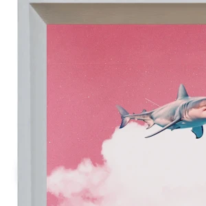 Tiburon - Triangulito blanco