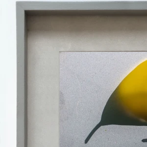 Santa Catalina - Marco tipo box gris con passepartout gris / 95 x 115