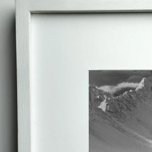 Loro Huasi - 70 x 50 / Marco en L blanco con passepartout blanco