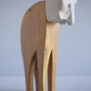 Cuanimales 1