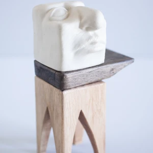Totem 1